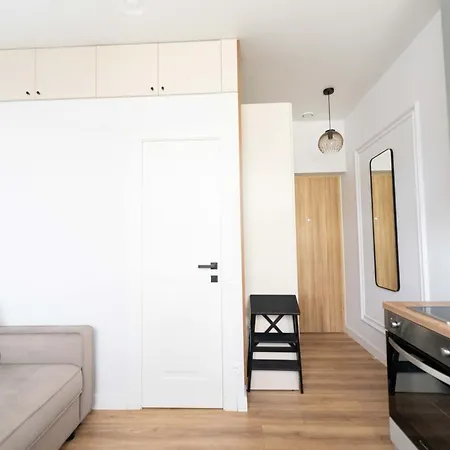 Cozy And Light Near Center Vilnius