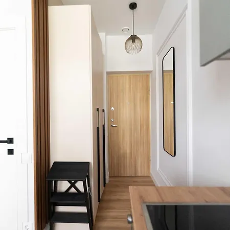 公寓 Cozy And Light Near Center