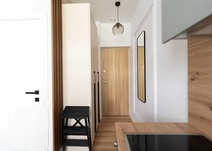 Lägenhet Cozy And Light Near Center