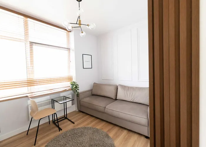 Cozy And Light Near Center Vilnius