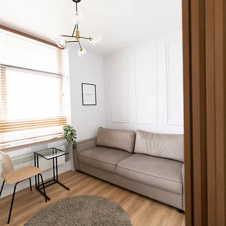 Cozy And Light Near Center Βίλνιους